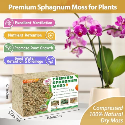 Legigo 2.2LB Sphagnum Moss for Plants- 40QT Natural Long Fibers Orchid Moss - Image 2