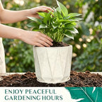 7.8 Inch Ceramic Plant Pot with Drainage Hole Mesh Net, Large Flower Pots for Indoor Plants with Saucer, Gardening Pots Outdoor (Silk White) - Image 5