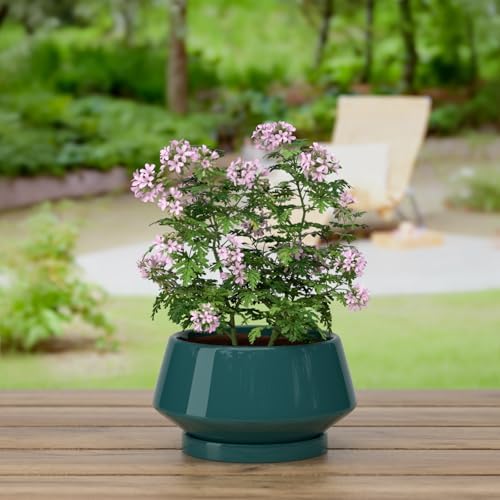 8.3 Inch Green Ceramic Planter with Drainage Hole and Saucer - Image 6