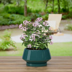 8.3 Inch Green Ceramic Planter with Drainage Hole and Saucer - Image 6