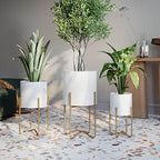 EverNest Claire Mid-Century Modern White Plant Pot with Ambrose Stand, SelectBase, Indoor Planter, Bohemian Style, Minimalist Plant Home Décor (Medium, Gold) - Image 6