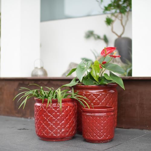 3 PCS Ceramic Planter, 9/12/15 Inch Deep Cylinder Planter with Drainage Hole, Large Plant Pots for Tree Foliage - Red - Image 3