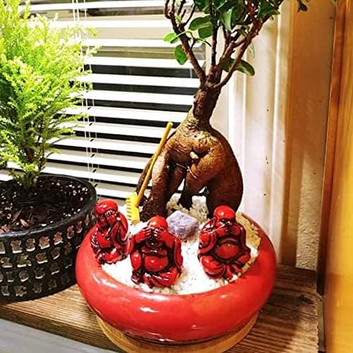 ARTKETTY Succulent Pots, 2 PCS Large Bonsai Pots with Drainage Tray - Image 6