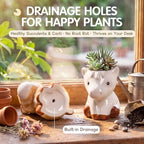 Mumufy 6 Pack Small Succulent Pots with Drainage Holes Horse Ceramic Pot - Image 3