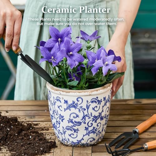 Vintage Ceramic Planter with Drainage Hole, Plastic Tray & Mesh, 6.5 Inch - Indoor/Outdoor Flower Pot, Blue Floral Rustic Farmhouse Design Plant pot for Home, Office & Garden Décor, Ideal Gift - Image 2