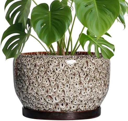 SQOWL Ceramic Plant Pots - 10 Inch Planter for Indoor Plants Outdoor, Large Flower Pots with Drainage Hole and Saucer, Decorative Round Planter, Apartment Decor, Garden Gifts for Women, White by SQOWL