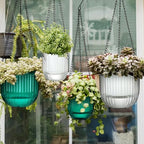 4 Pcs 6.5'' 4.5'' Hanging Self Watering Pot for Indoor Plant, Green, Clear - Image 6