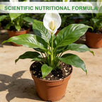 Premium Peace Lily Potting Soil 10qt– All Natural, Well-Draining & Breathable Soil for Peace Lily & Indoor Plants - Image 4