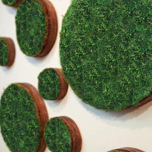 FAICOIA 2 Pcs Floral Moss Rug Roll Dried Moss Sheets for Crafts Table Runner Fairy Gardens Wedding Woodland Decor 12" x 71" Preserved Green Moss Mat for Forest Decoration Carpet Grass Wall 30x180cm - Image 5