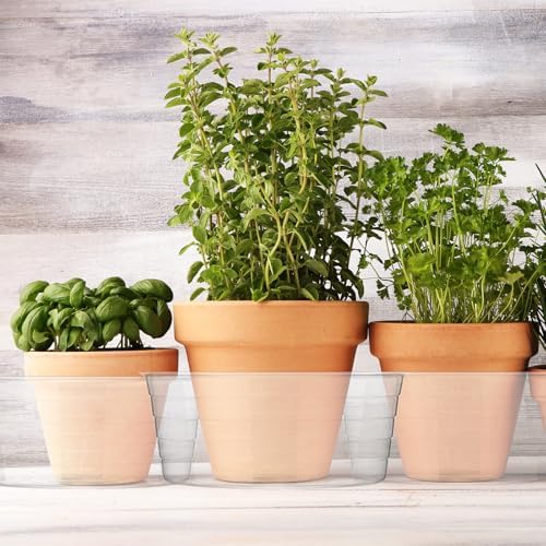 Hoolerry 15 Pcs Plastic Plant Saucer Clear Deep Tray, 12 Inch - Image 7