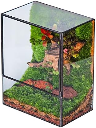 NCYP Close Glass Terrarium with Door - 7.8 x 5.1 x 9.8 Inches Landscape Clear Glass Planter for Small Tropical Plants, Moss Wall - Indoor Tabletop Centerpiece, Garden Decor (Terrarium Only) by NCYP