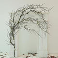 74in Fake Halloween Moss Garland Hanging Tree Branches Decor(1) by CONGZHANHH