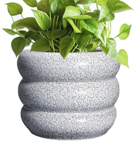 SQOWL Ceramic Pots for Plants - 8 Inch Plant Pot with Drainage Hole, Round Planter for Indoor Plants, Ceramic Flower Pots Outdoor, Modern Planter, Room Decor, Gifts for Plant Lover, Black and White by SQOWL