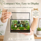 Small Glass Terrarium with Lid, Rectangle Geometric Planter Box, Clear Glass Container for Succulents, Moss, Air Plants, Ferns, Cactus, Tabletop Plant Display Decor, 6.7 x 3.9 x 4.7 in - Image 4