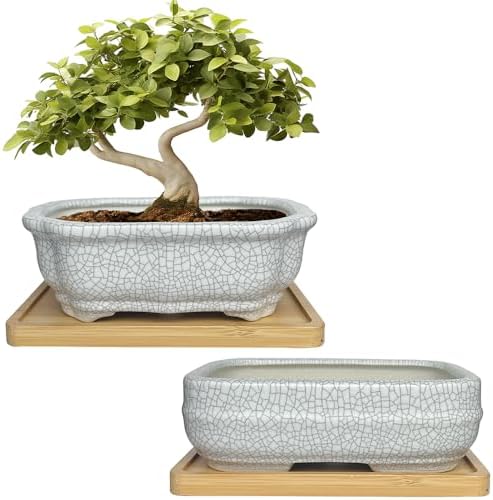 MUZHI 2 Pack Amazing Ice Crack Glazed Ceramic Bonsai Pot White Color 5 Inch with Bamboo Tray, Plant Pot Succulent Planter for Office Home Garden Decor Gift by MUZHI