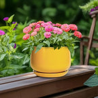 G EPGardening Ceramic Plant Pot - 6 Inch Ceramic Planter with Drainage Hole and Tray, Modern Round Planter, Flower Pot for Indoor Outdoor Plants, Plants Lovers Gifts, House Garden Decor, Yellow - Image 4