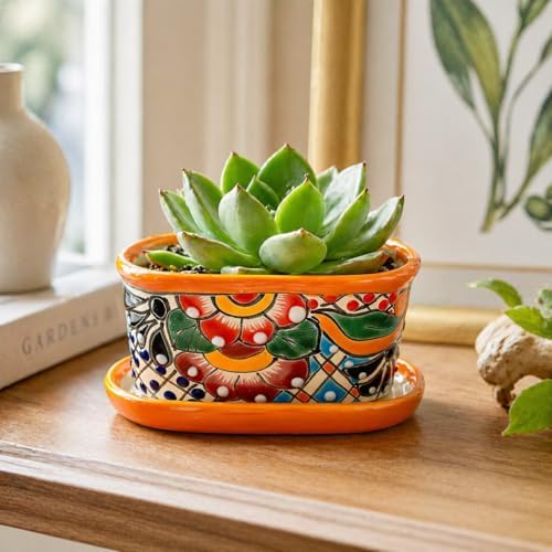 Small Ceramic Pot - Flower Planter with Drainage for Cactus Bonsai Succulents - Desk Size - Maceta Ceramica Multicolor - Image 4