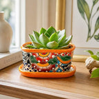 Small Ceramic Pot - Flower Planter with Drainage for Cactus Bonsai Succulents - Desk Size - Maceta Ceramica Multicolor - Image 4