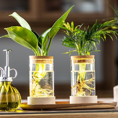 Glass Plant Propagation Stations, Propagation Vases for Plants with Ambient Light Base, Hydroponic Vase for Home & Office Windowsill Tabletop Decoration Desktop Vases for Living Room, Bedroom (6) - Image 3