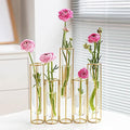 nother Bigsee Test Tube Vase for Flowers, Glass Vase with Metal Stand Racks Hydroponic Test TubeVase Set of 5, Gold Hinged Plant Vases Display Set Table Centerpieces Vase for Home Decor (Gold) by Bigsee