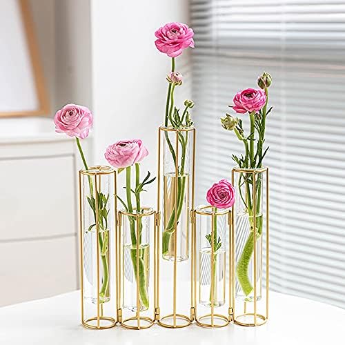 nother Bigsee Test Tube Vase for Flowers, Glass Vase with Metal Stand Racks Hydroponic Test TubeVase Set of 5, Gold Hinged Plant Vases Display Set Table Centerpieces Vase for Home Decor (Gold) by Bigsee