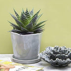 CHIVE ‘Tika’ Big Succulent Pot — 5” Cute Planter Pots for Indoor Plants — Beautiful Modern Decor for Home & Kitchen — Grey - Image 4