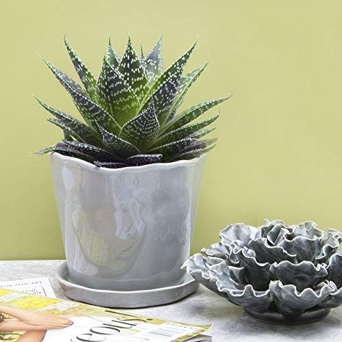 CHIVE ‘Tika’ Big Succulent Pot — 5” Cute Planter Pots for Indoor Plants — Beautiful Modern Decor for Home & Kitchen — Grey - Image 4