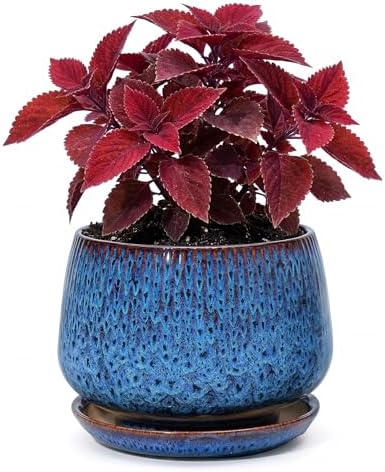 7.5 Inch Ceramic Planter with Saucer,Modern Garden Pots with Drainage Hole Mesh Net, for Indoor Outdoor Use (Speckle Blue) by Unknown