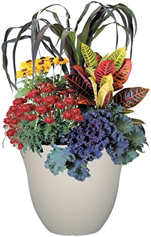 15" Honeysuckle Planter in Vanilla - Image 3