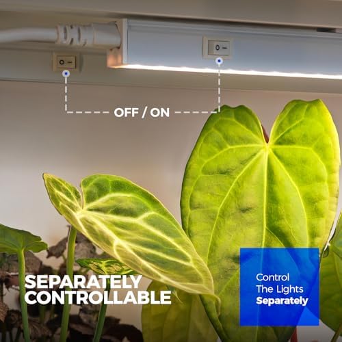 Barrina Grow Lights for Indoor Plant, Full Spectrum, T5 1FT Yellow, 4 Packs - Image 4