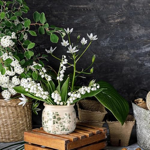 7.7" Large Ceramic Plant Pot Beige Green Jasmine Vine Crackle Glaze Rustic Flowers Pot Decorative Planter with Drainage for Indoor Outdoor Plants Home Kitchen Office Decor Gift - Image 5