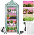 DazSpirit 4-Tier Mini Indoor Greenhouse with Grow Light, 70 x 23 x 19 in by DazSpirit