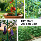 50pcs Garden Stakes 4FT, Plastic Coated Steel Plant Stakes Specifically Designed for Climbing Plants, Ideal for Tomatoes, Beans, Cucumbers, Peppers, Vines, and More Plant Growth - Image 7
