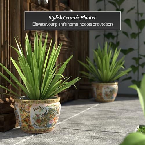 Red Lantern 12" Satsuma Porcelain Fishbowl Planter - Image 2