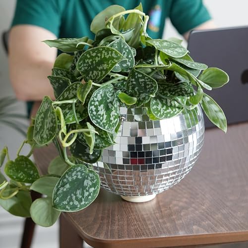 Bubblegum Stuff Disco Ball Hanging Planter (8 in) - Hanging Planters for Indoor Plants - Spherical Shaped Plant Pots with Mirrored Exterior - Available in 4-inch, 6-inch and 8-inch Sizes… - Image 4