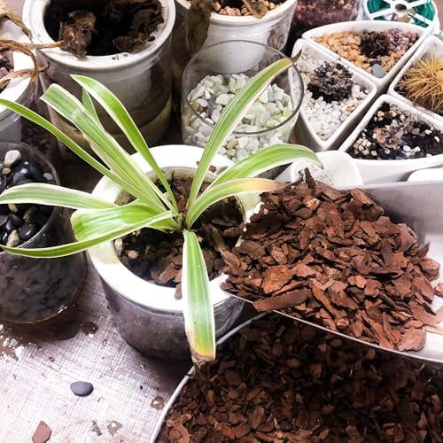 14qt Organic Orchid Potting Bark -Natural Mulch for Potted Plants, Root Development of Orchid Plants and Garden Soil Amendment Mix - Image 7