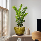 10 Inch Ceramic Pots for Plants, Indoor Plant Pot, Yellow Leopard - Image 5