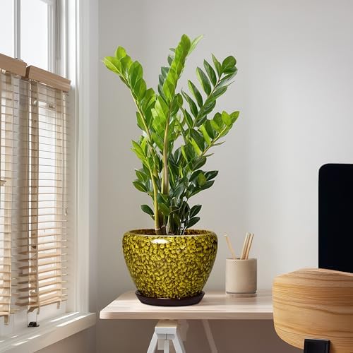 10 Inch Ceramic Pots for Plants, Indoor Plant Pot, Yellow Leopard - Image 5