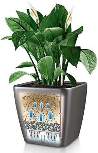 Lechuza Quadro LS 21 Scarlet Red High Gloss, Self-Watering Square Planter, H7.9 L8.3 W8.3 in - Image 7