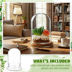 2 Pcs 4.7 x 6.3 Inch Clear Glass Dome Terrarium with Air Hole & Base - Image 6