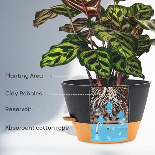 12 Inch Self Watering Pot with Visual Water Window, Drainage Holes & Watering Lip, Set of 2 Large Plastic Planters for Indoor Outdoor Plants, Modern Decorative Flower Pot (Grey) - Image 4