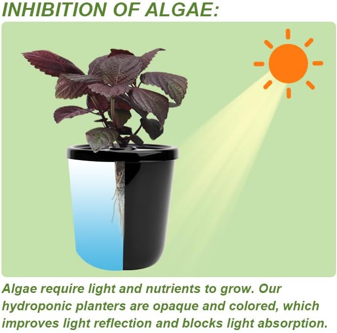 Kratky Method Hydroponic Planter Kit, 8 Hydroponic Planter Plus 24 Growing Sponges for Herbs, Hydroponic Mini Buckets for Windowsill Herb Garden, Hydroponic Growing System for Vegetables (Black) - Image 6