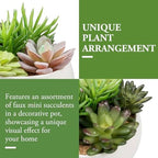 MyGift 6 Inch Round Modern Artificial Succulent Arrangement Potted in White Ceramic Plant Bowl, Assorted Faux Mini Succulents in a Decorative Planter Pot - Image 5