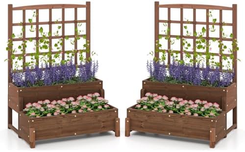 GIANTEX 2 Pcs Raised Garden Bed with Legs and Trellis, 2-Tier Standing Planter Box with Drain Holes, Outdoor Elevated Garden Trellis for Vine Climbing, Flower Vegetable Fruit Herb Growing by Giantex