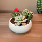Concrete Succulent Pot Bowl, Modern Decor, Gift, Wedding/Shower Favor, Candle Vessel, 6 in (Charcoal, with Drainage Hole) (Marigold Yellow, Without Drainage Hole) - Image 5