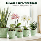Plant Pots, Self Watering Planters with Drainage Holes and Trays, Flower Pots for Indoor Outdoor - 6 Pack(4/5/6/6.5/7/8 Inch) (Light Green) - Image 7