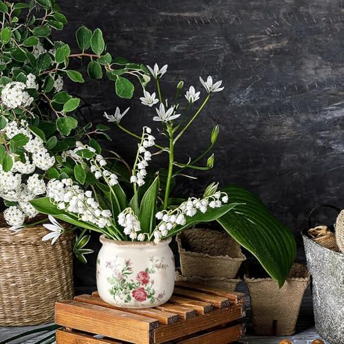 7.7" Large Ceramic Plant Pot Beige Red Romantic Rose Crackle Glaze Rustic Flowers Pot Decorative Planter with Drainage for Indoor Outdoor Plants Home Kitchen Office Decor Gift - Image 5