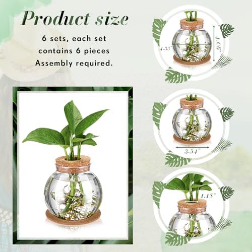 Baderke 9 Packs Propagation Vases for Plants Plastic Plant Propagation Station with Hole Lid and Cork Coasters Plant Growing in Water Hydroponic Home Office Table Decoration(Fish Bowl Style) - Image 2