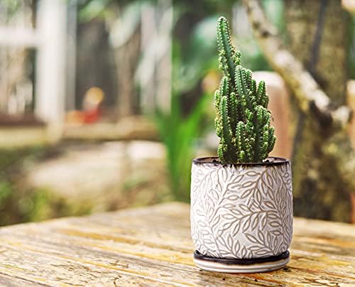 D'vine Dev 2-Pack Embossed Leaves Planter, 4/6 in, Smoked White, 27-B-U-1 - Image 7