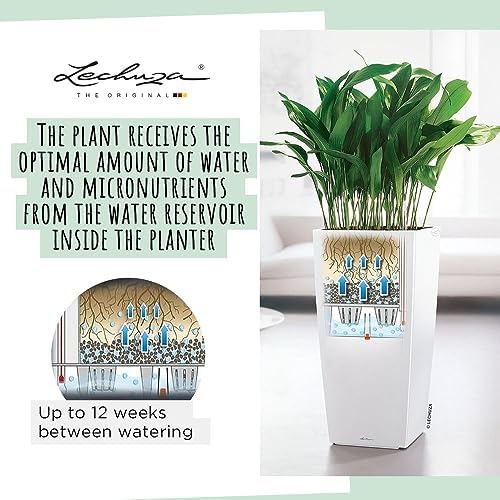 CUBICO 30 Charcoal Metallic, Self-Watering Tall Planter, H22 L11.8 W11.8 in - Image 4